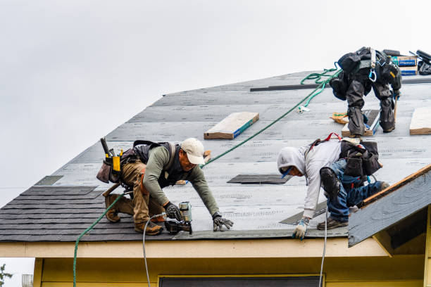 Professional Gutter Installation technician working in Newark, IL